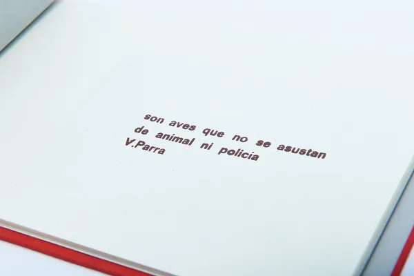 Beni-Rio - imagen 4